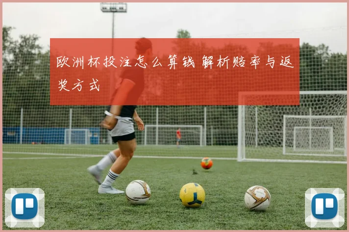 欧洲杯投注怎么算钱 解析赔率与返奖方式