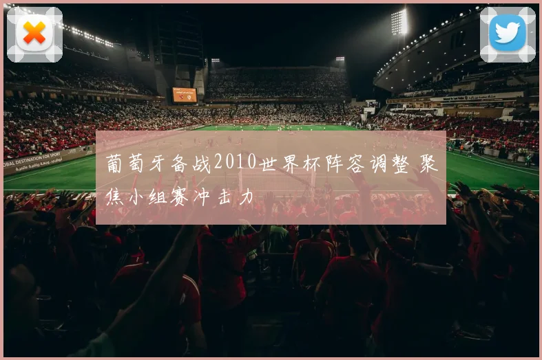 葡萄牙备战2010世界杯阵容调整 聚焦小组赛冲击力