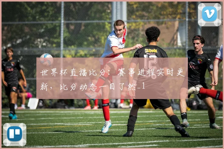 世界杯直播比分:赛事进程实时更新,比分动态一目了然_1