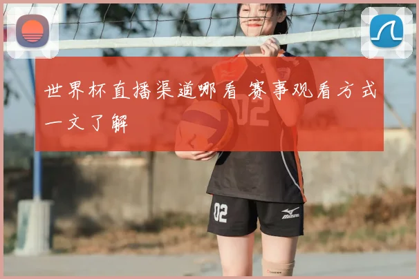 世界杯直播渠道哪看 赛事观看方式一文了解
