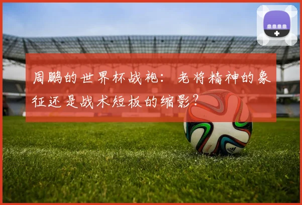 周鹏的世界杯战袍:老将精神的象征还是战术短板的缩影?