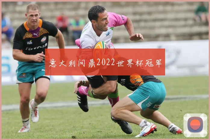 意大利问鼎2022世界杯冠军