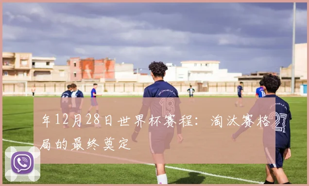 年12月28日世界杯赛程:淘汰赛格局的最终奠定