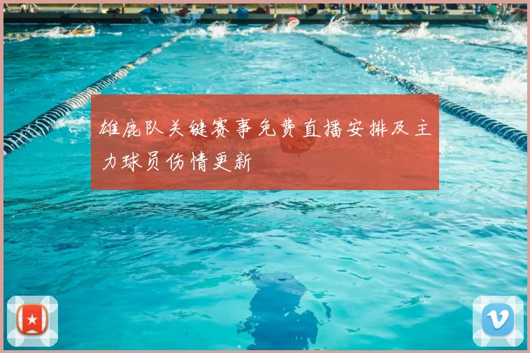 雄鹿队关键赛事免费直播安排及主力球员伤情更新