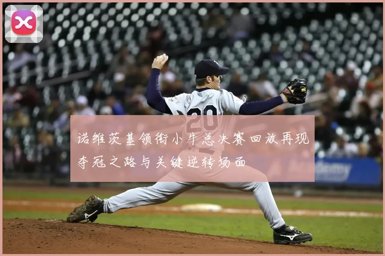 诺维茨基领衔小牛总决赛回放再现夺冠之路与关键逆转场面