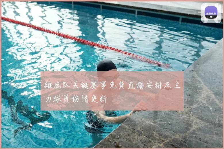 雄鹿队关键赛事免费直播安排及主力球员伤情更新