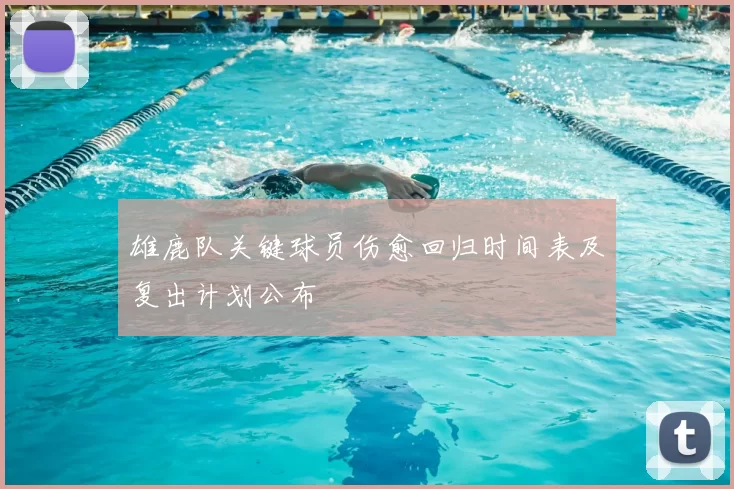 雄鹿队关键球员伤愈回归时间表及复出计划公布